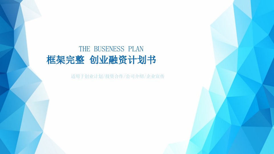 创业融资计划书ppt模板3