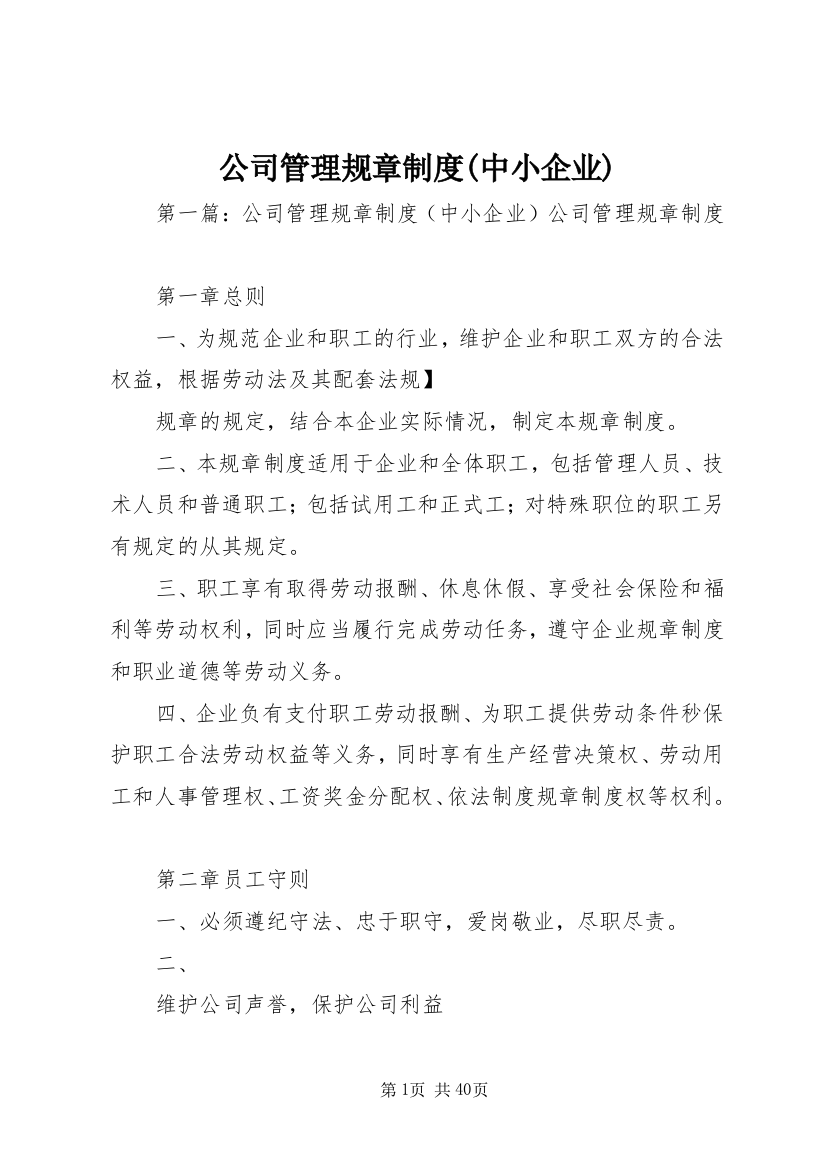 公司管理规章制度(中小企业)