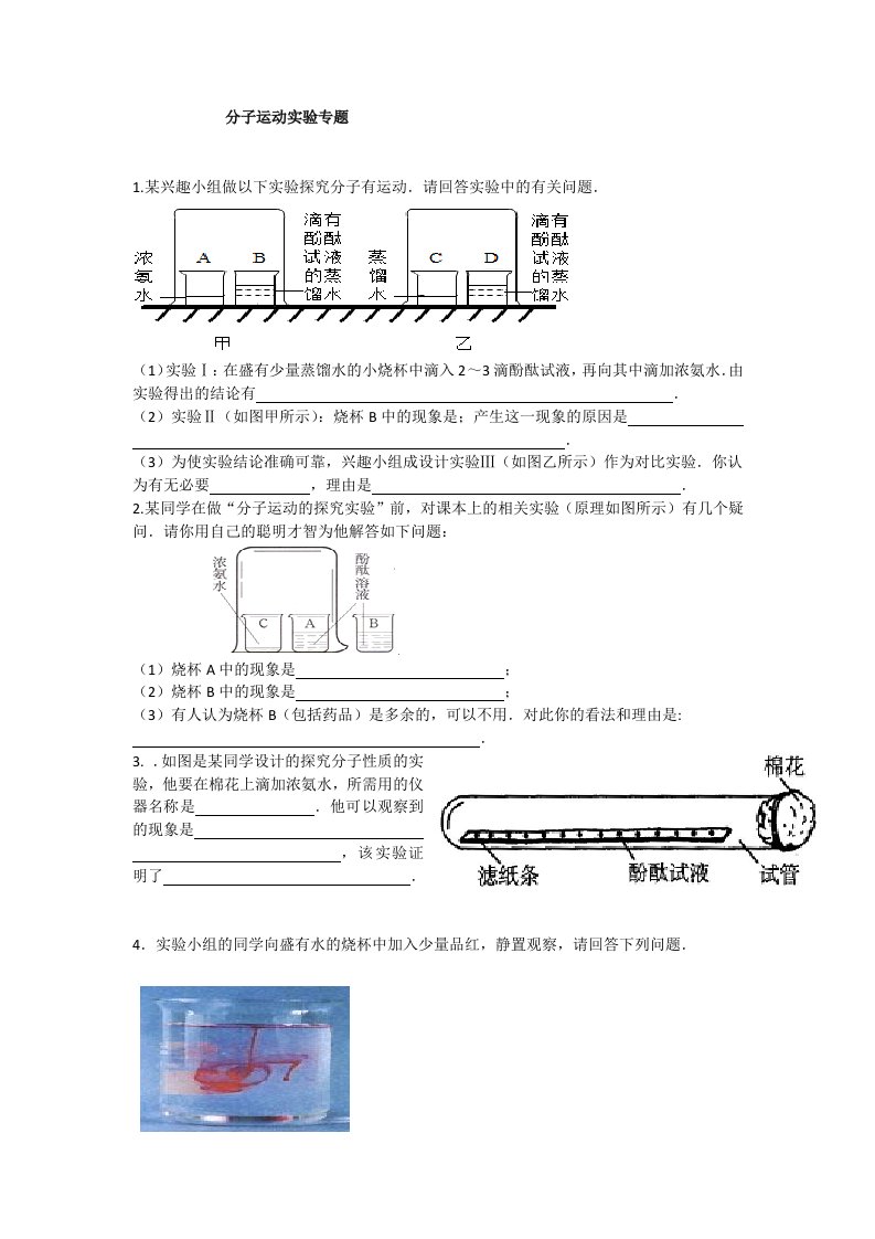 分子运动实验专题