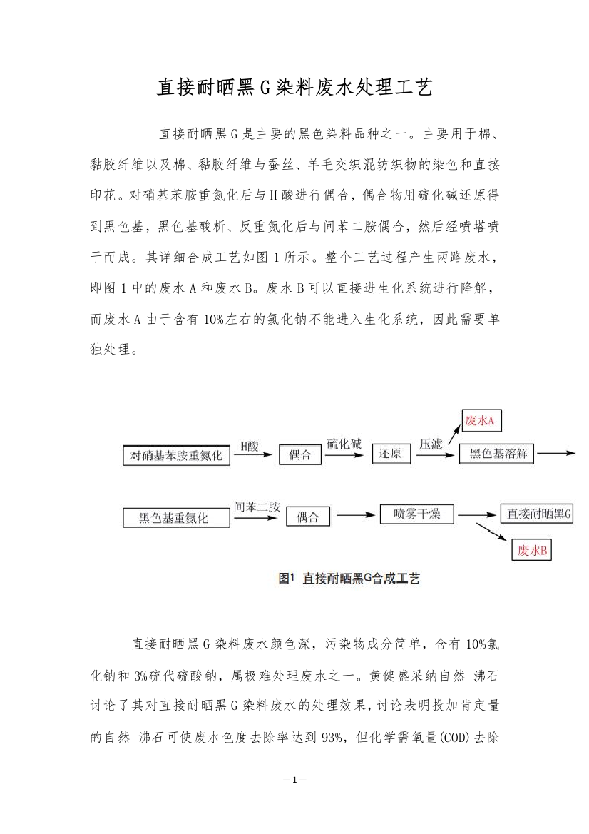 直接耐晒黑G染料废水处理工艺