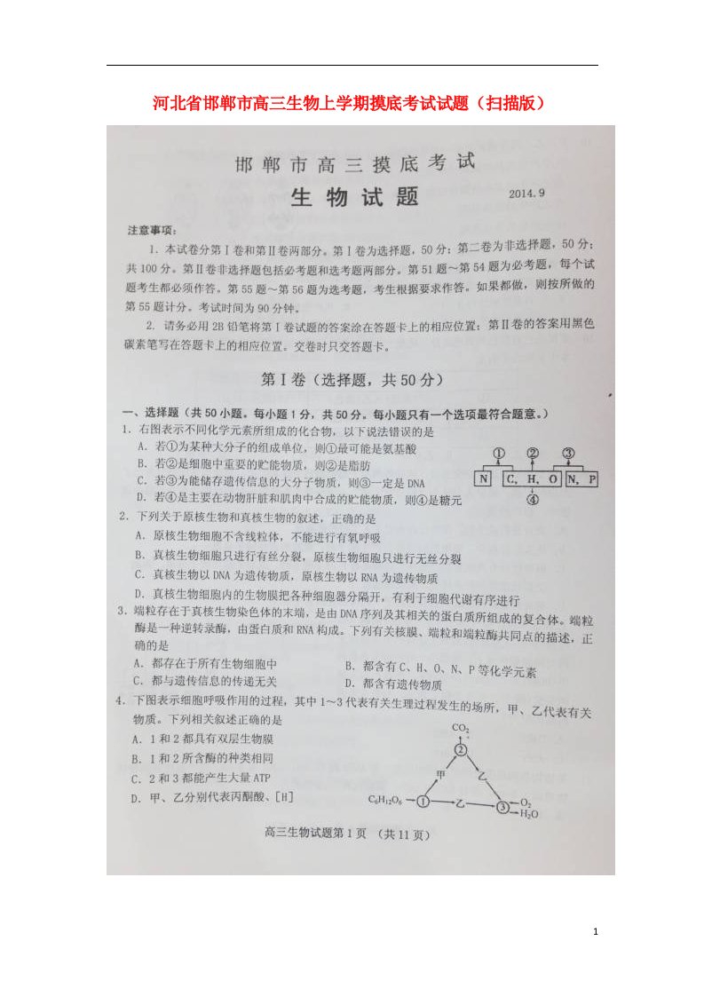 河北省邯郸市高三生物上学期摸底考试试题（扫描版）