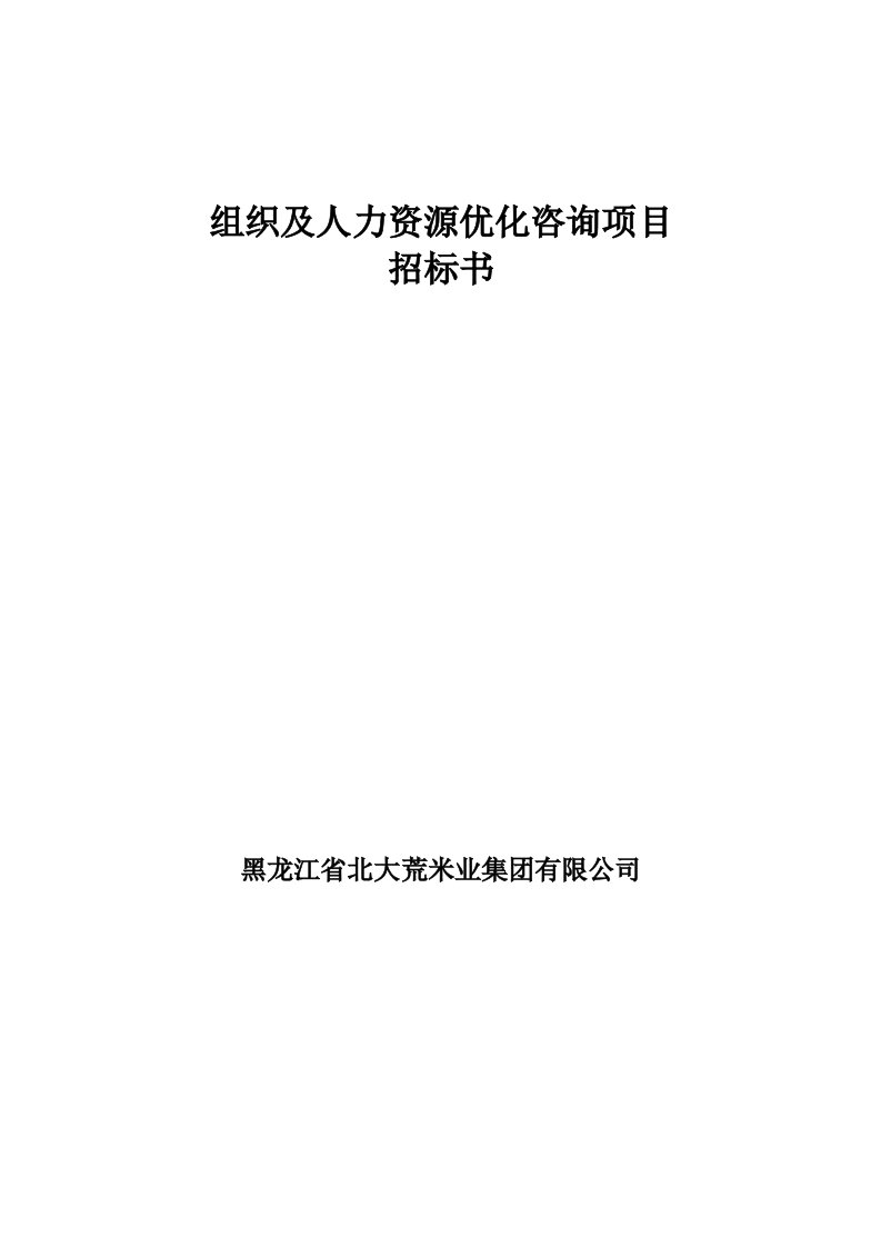 项目管理-组织及人力资源优化咨询项目