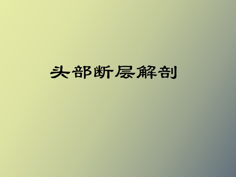 人体断层解剖学-头部断层解剖