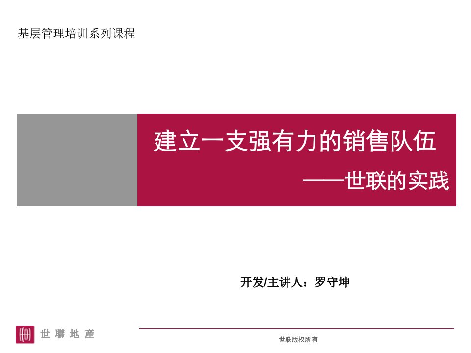 建立一支强有力销售队伍世联地产实践报告PPT-地产策划