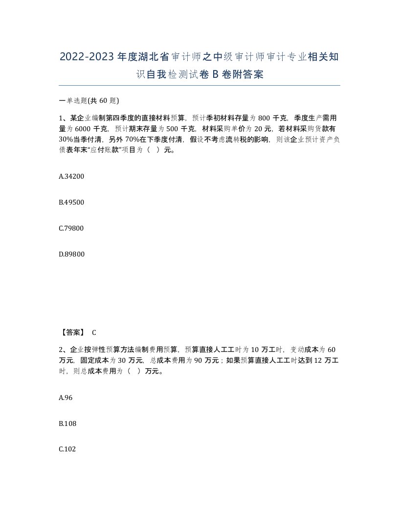 2022-2023年度湖北省审计师之中级审计师审计专业相关知识自我检测试卷B卷附答案