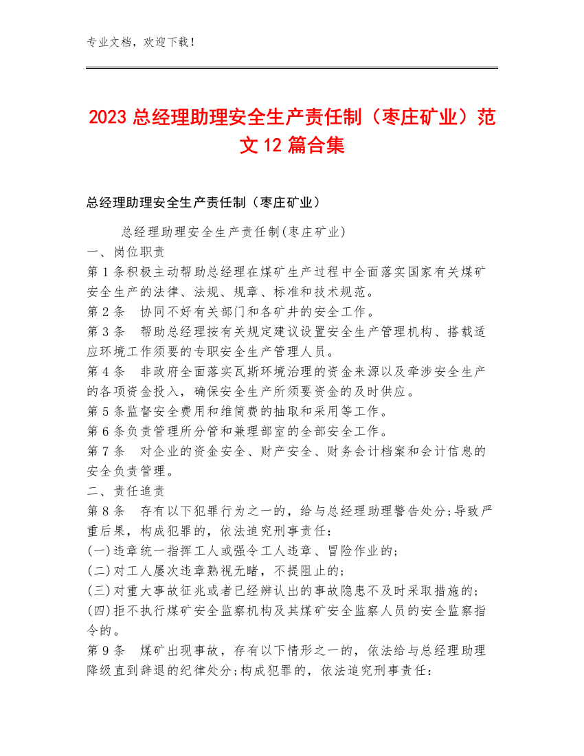 2023总经理助理安全生产责任制（枣庄矿业）范文12篇合集