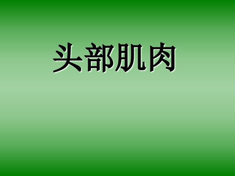 头部肌肉讲解3课件