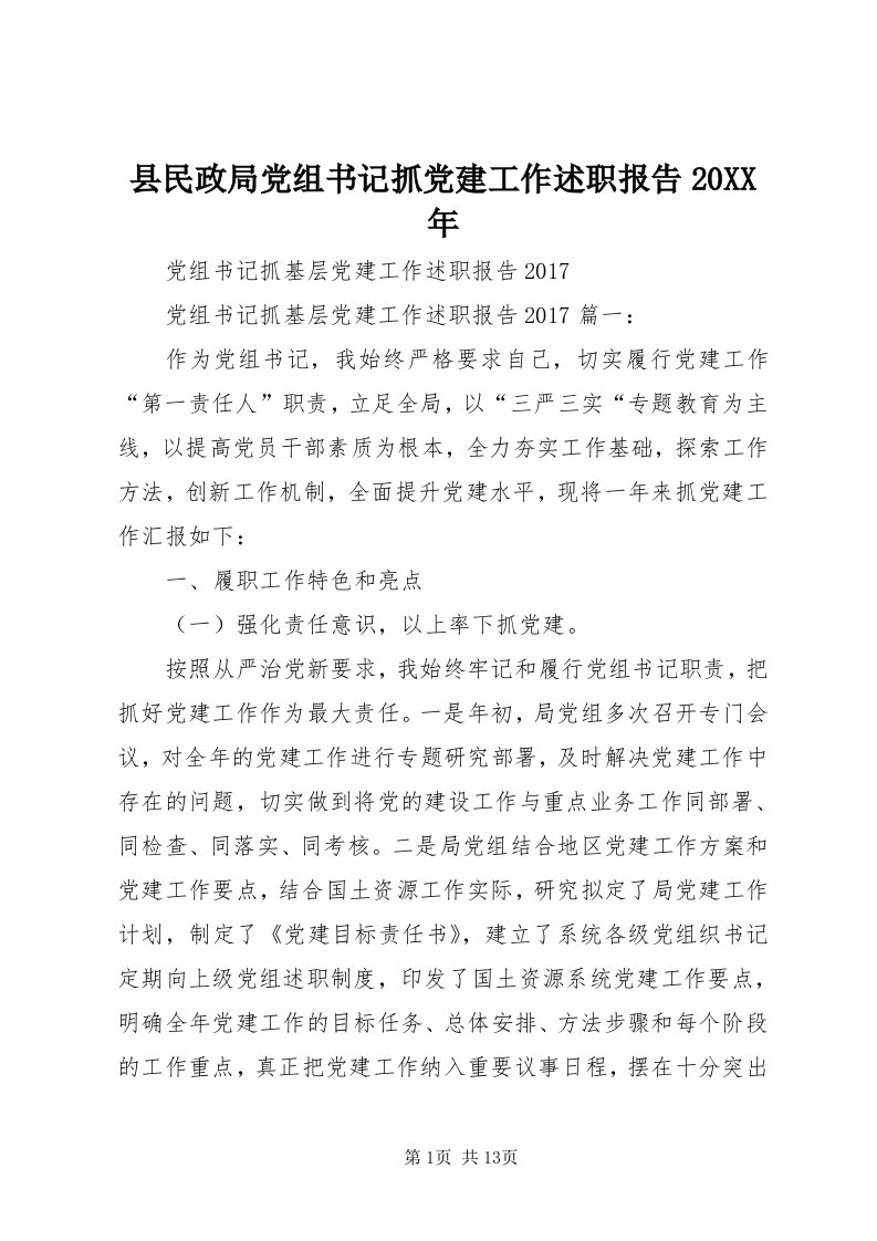 6县民政局党组书记抓党建工作述职报告某年