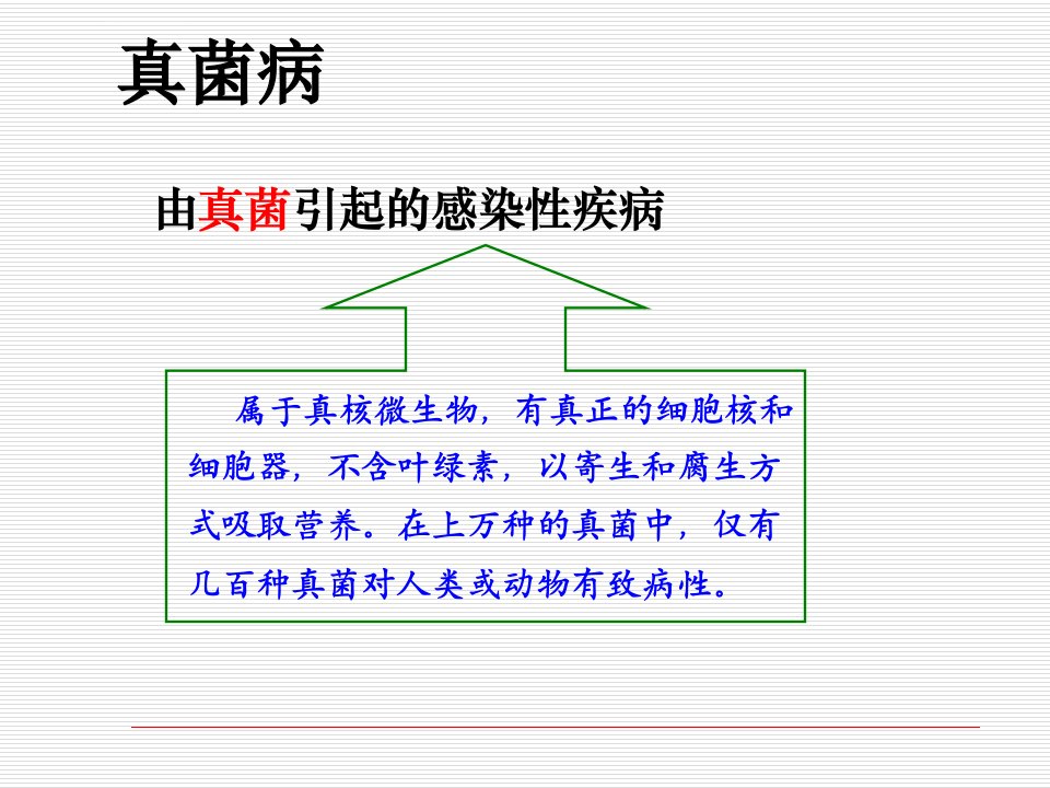 皮肤病实验室检查ppt课件