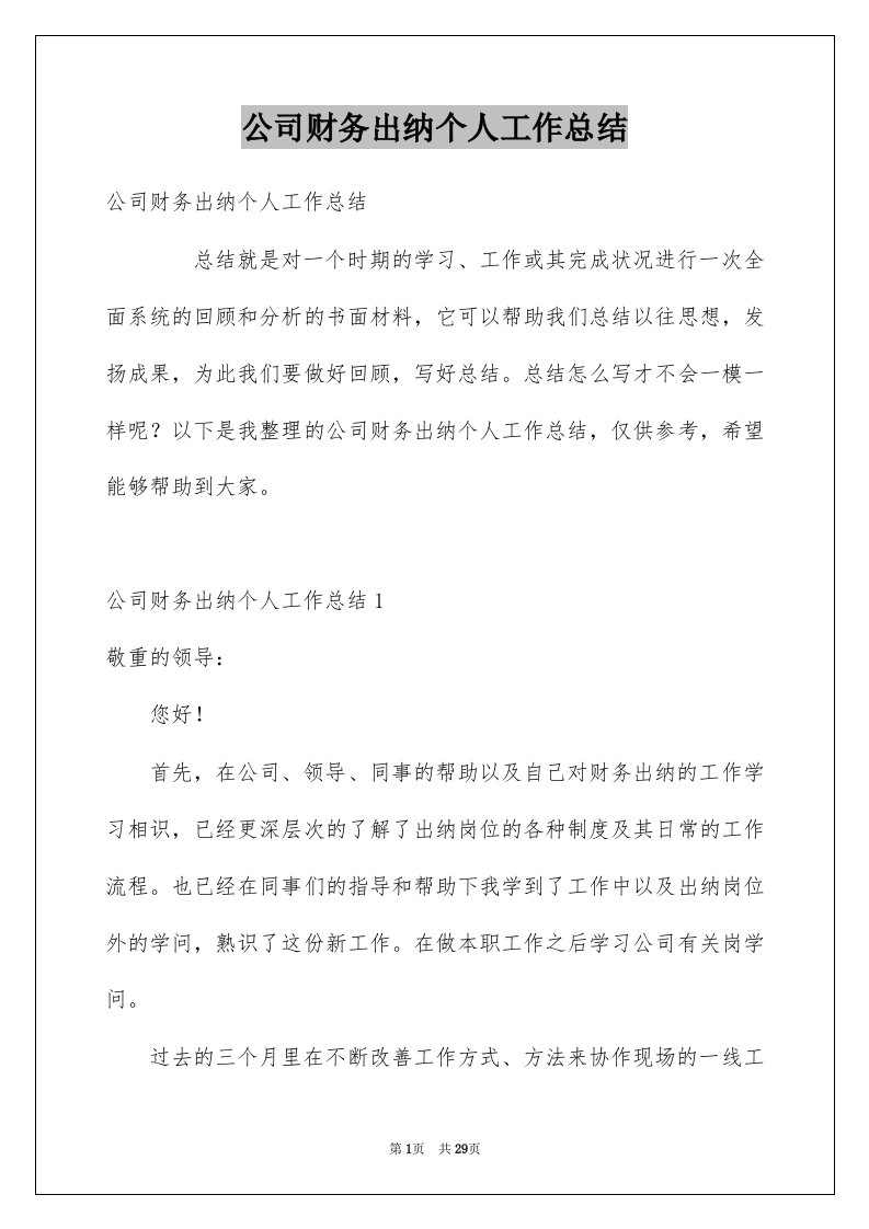 公司财务出纳个人工作总结范本