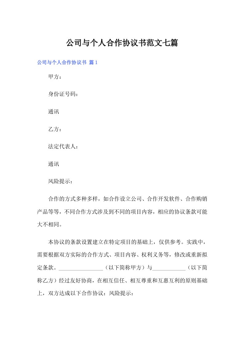 公司与个人合作协议书范文七篇