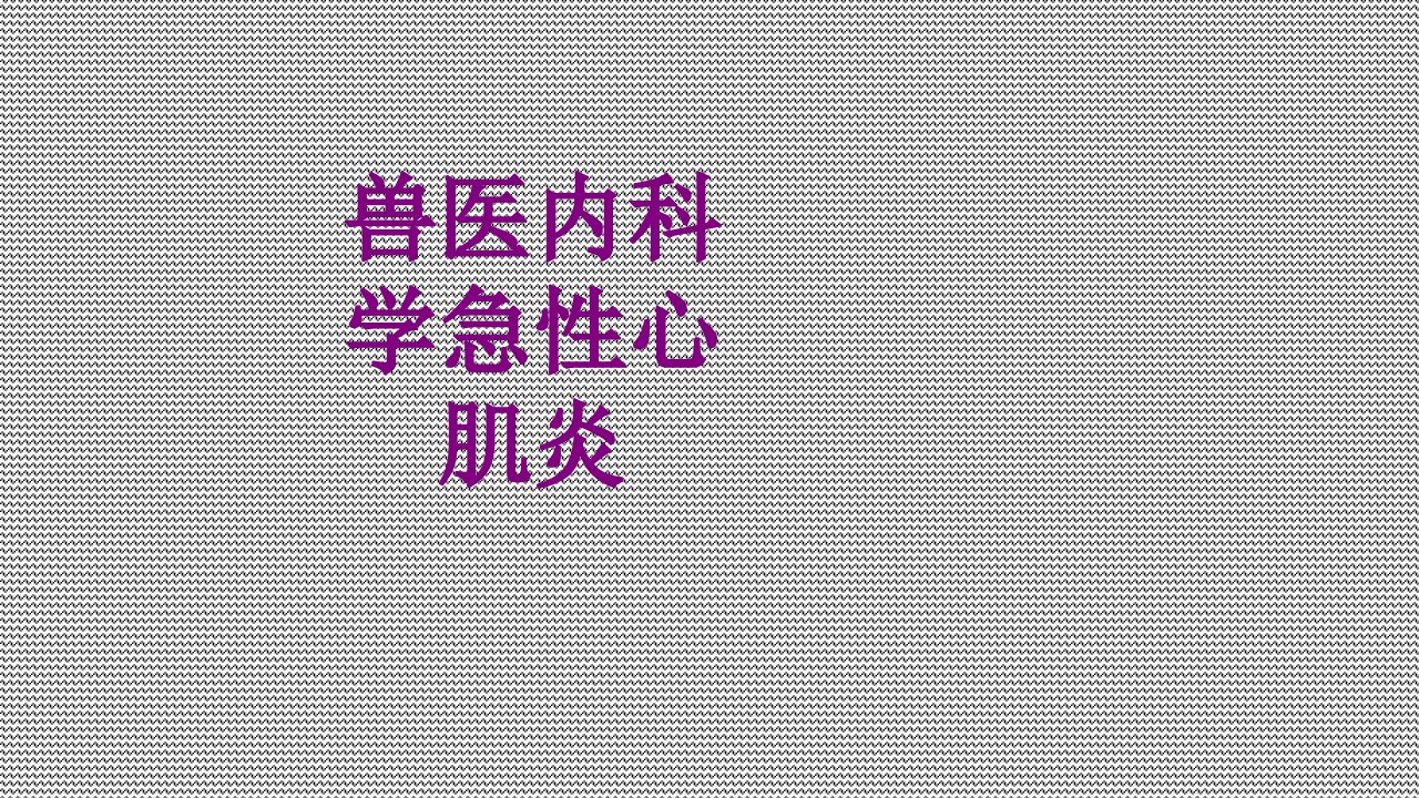 兽医内科学急性心肌炎优质PPT讲义