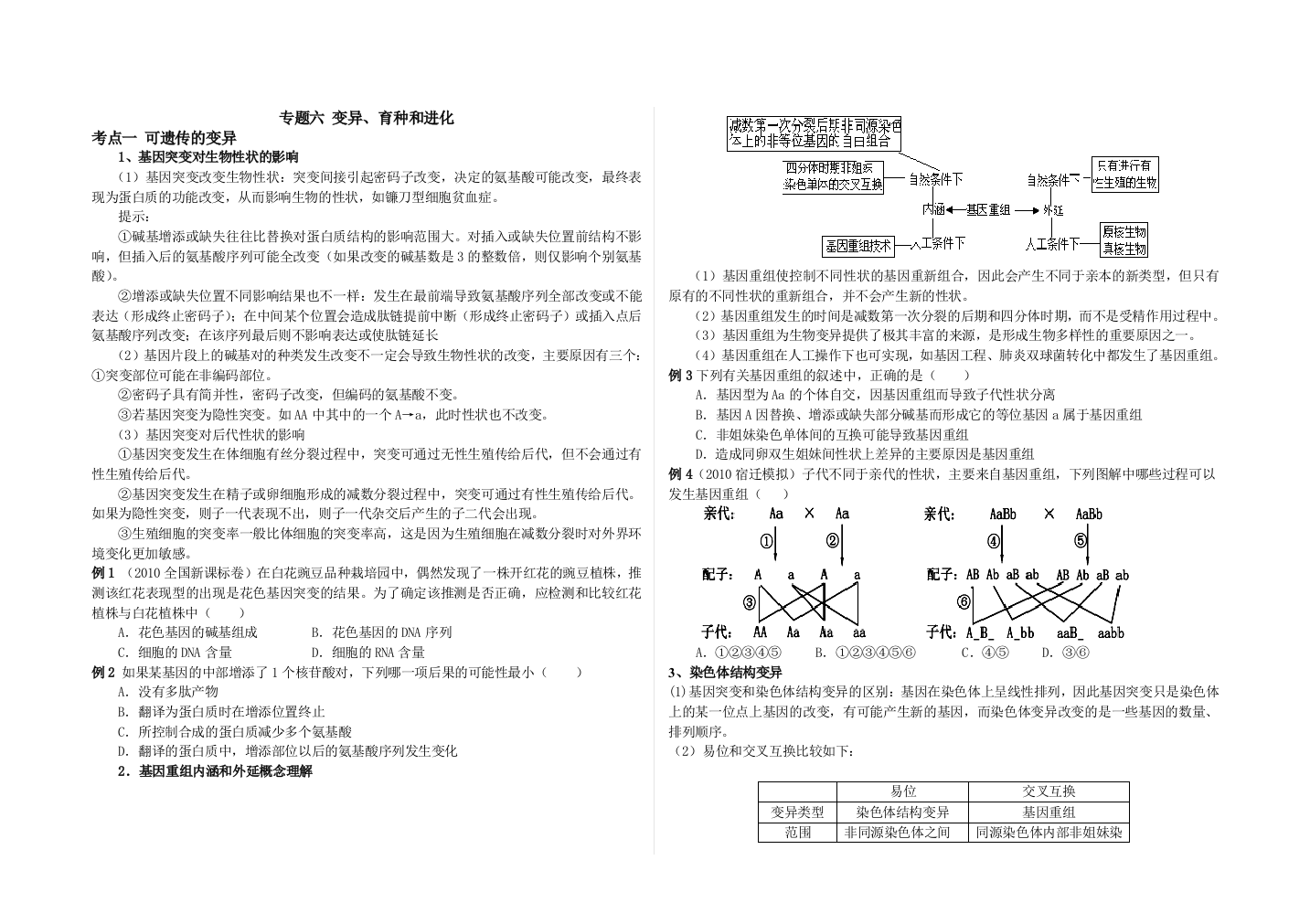 变异育种和进化