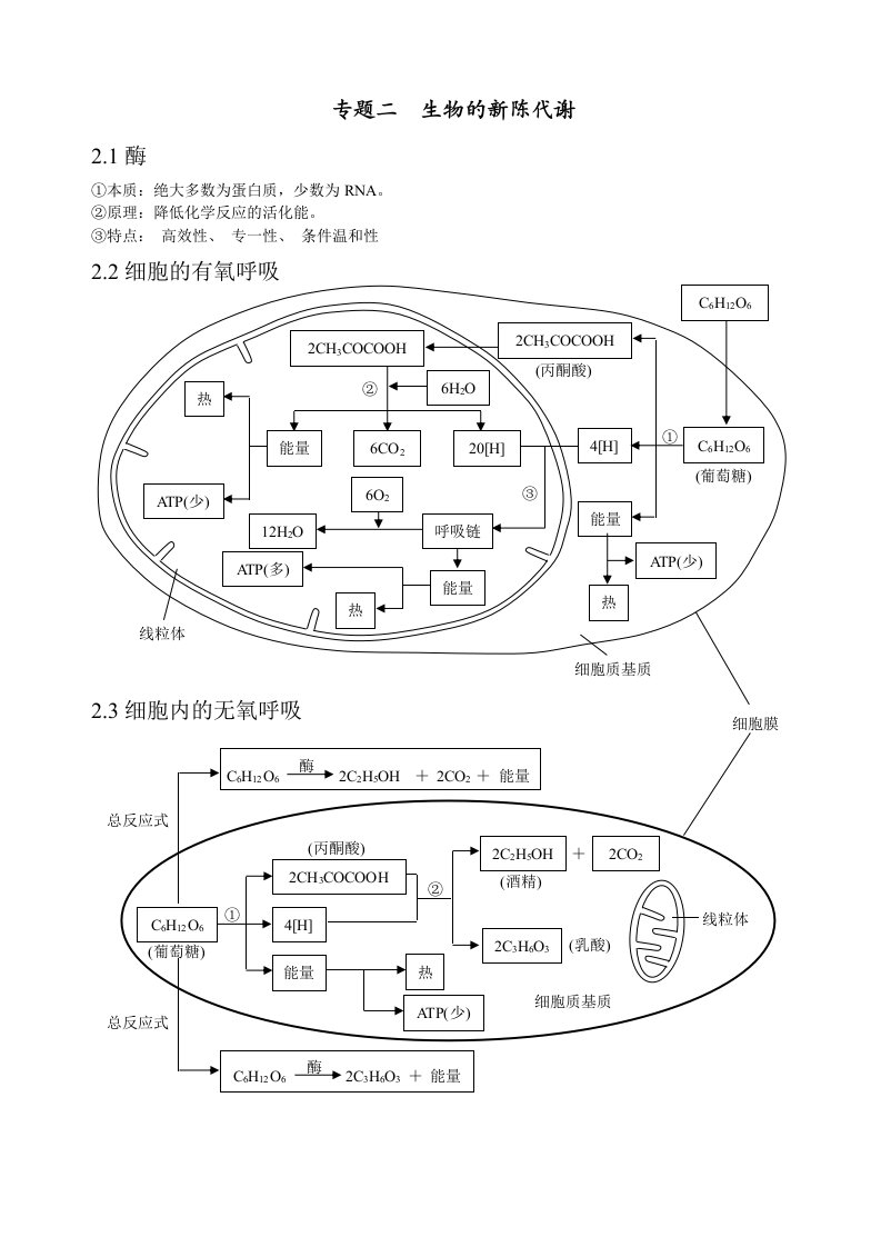 细胞代谢基础知识点