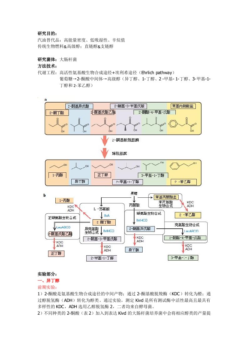 大肠杆菌高活性氨基酸生物合成途经研究