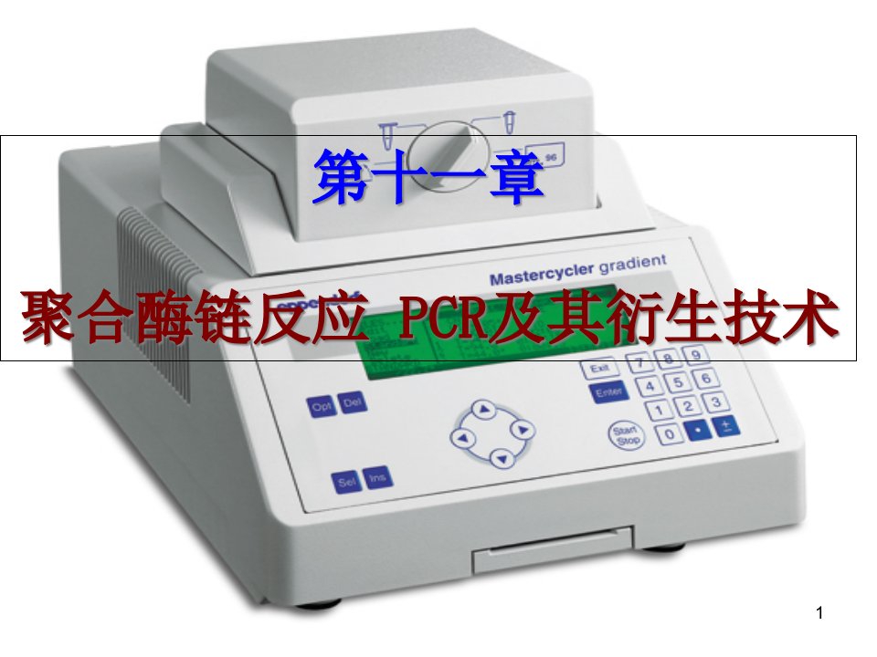 PCR及其衍生技术解析ppt课件