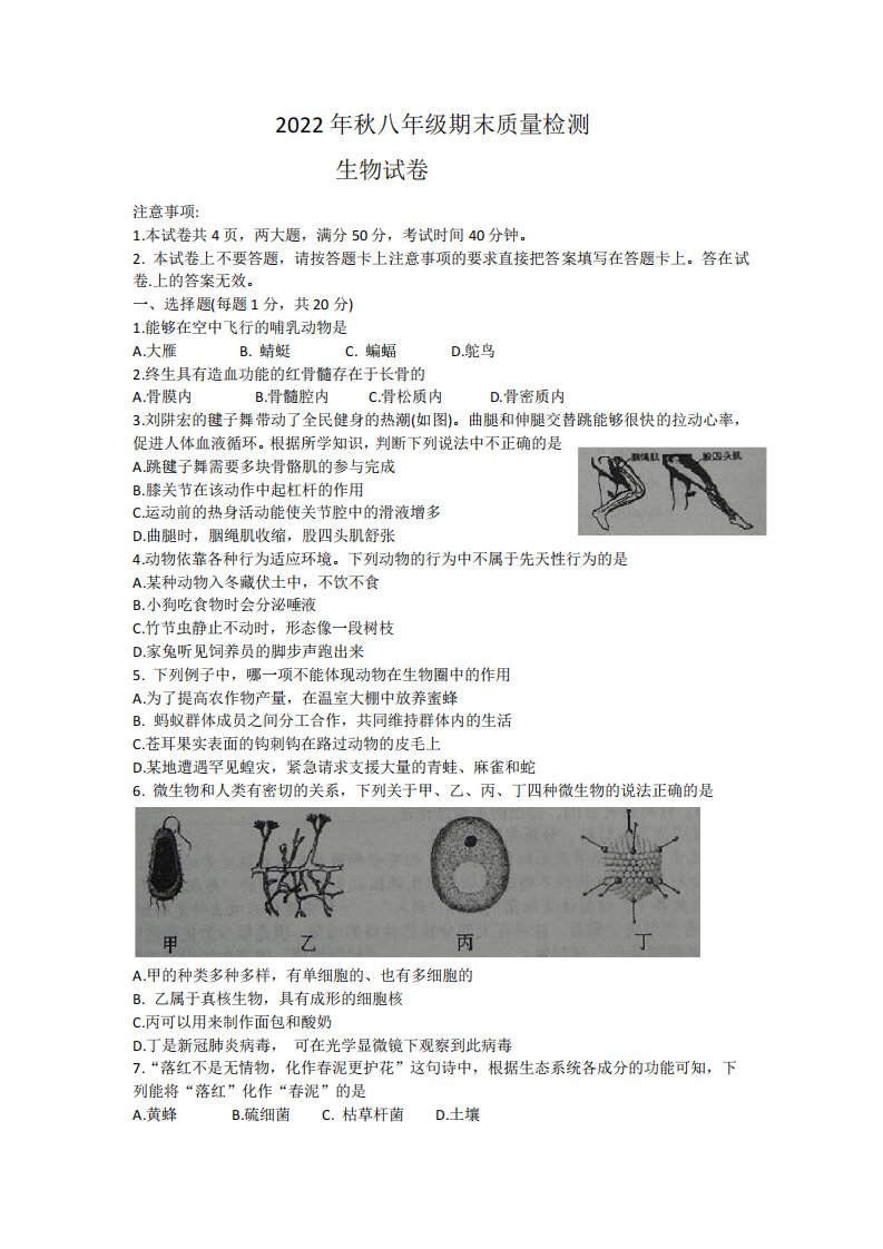 河南省商丘市柘城县2022-2023学年八年级上学期期末考试生物试题