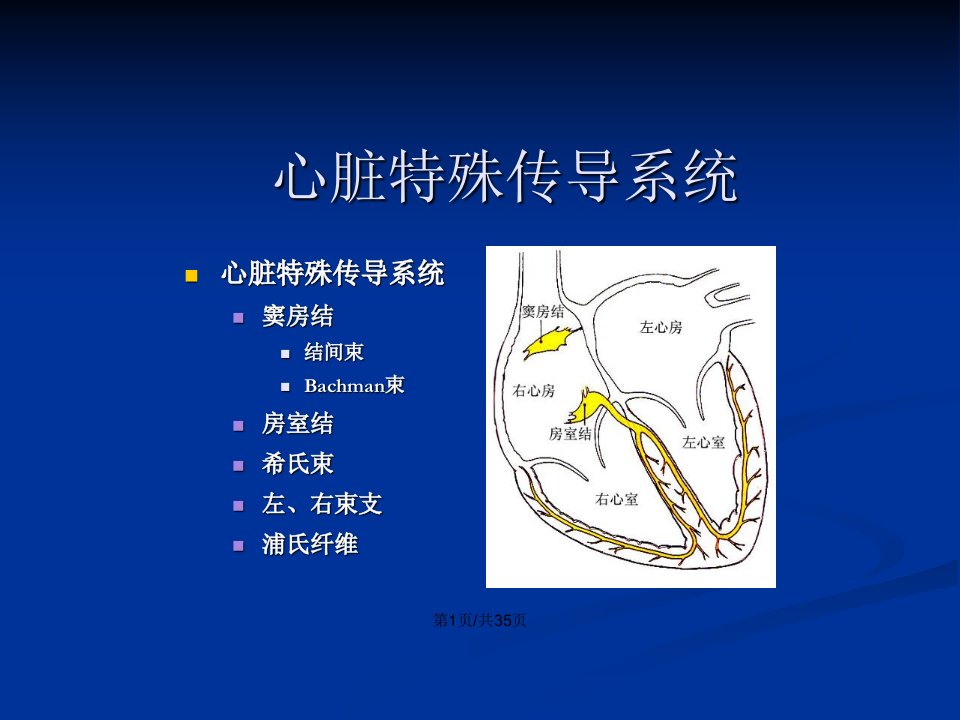 射频消融标测技术要点