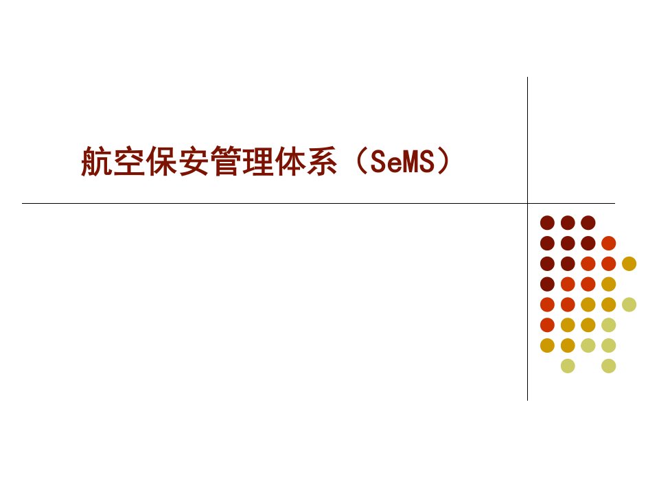 航空安保管理体系(SeMS)