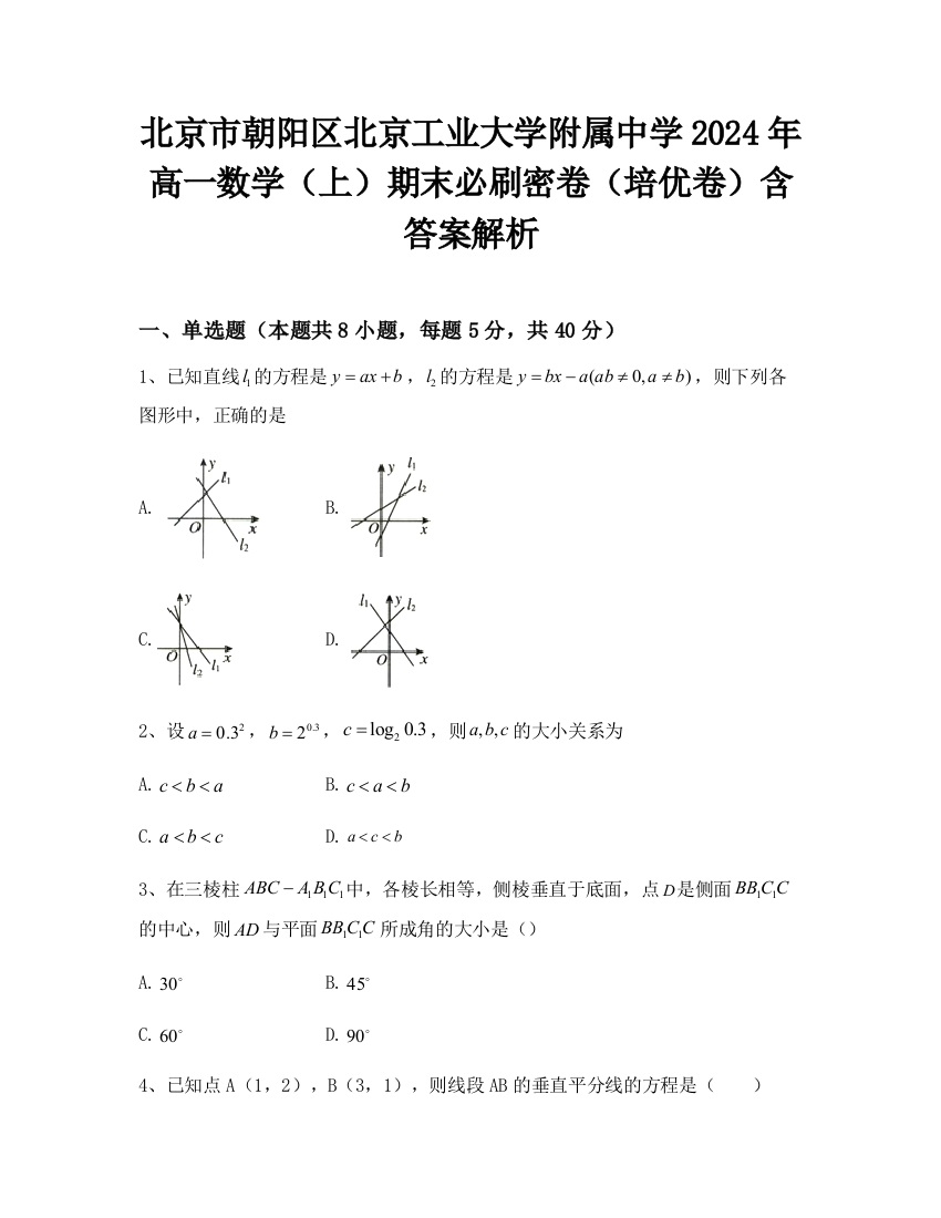 北京市朝阳区北京工业大学附属中学2024年高一数学（上）期末必刷密卷（培优卷）含答案解析