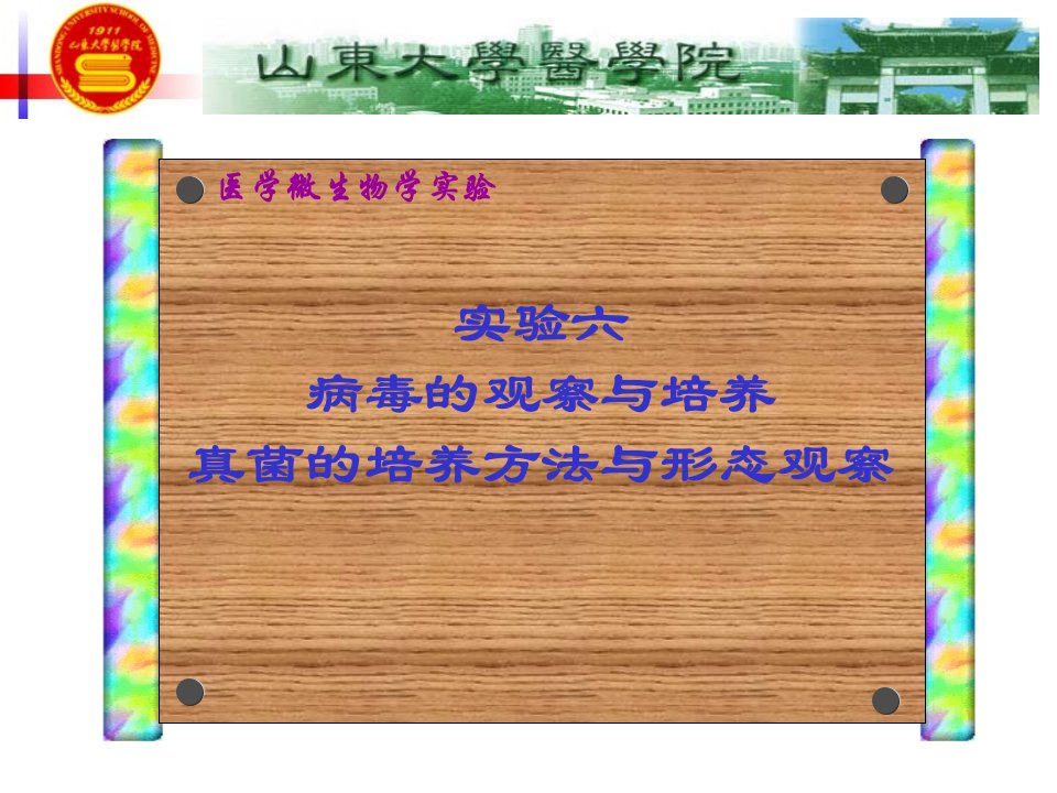 实验六病毒的观察与培养真菌的培养方法与形态观察