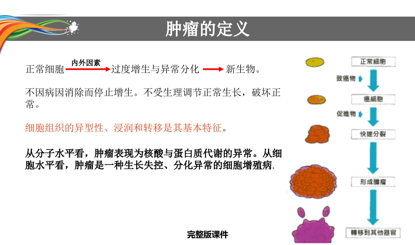 肿瘤及化疗基础知识ppt课件