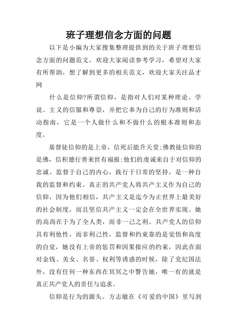 班子理想信念方面的问题.doc