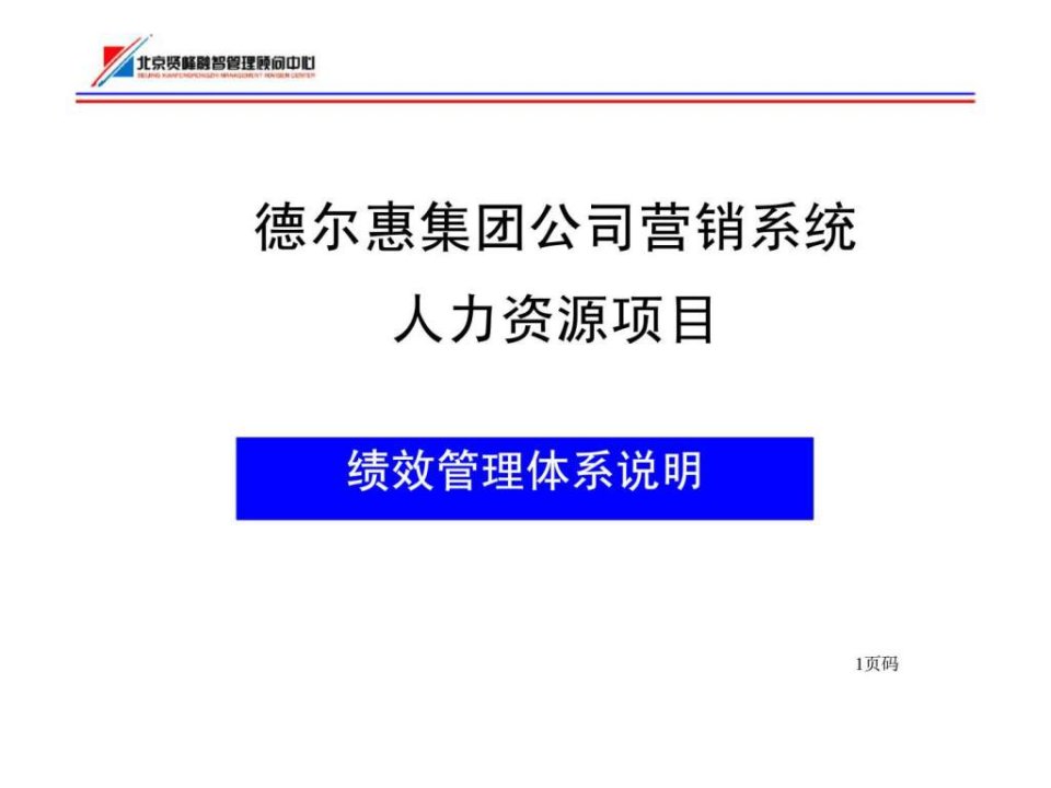 德尔惠集团公司营销系统人力资源项目绩效管理体系说明