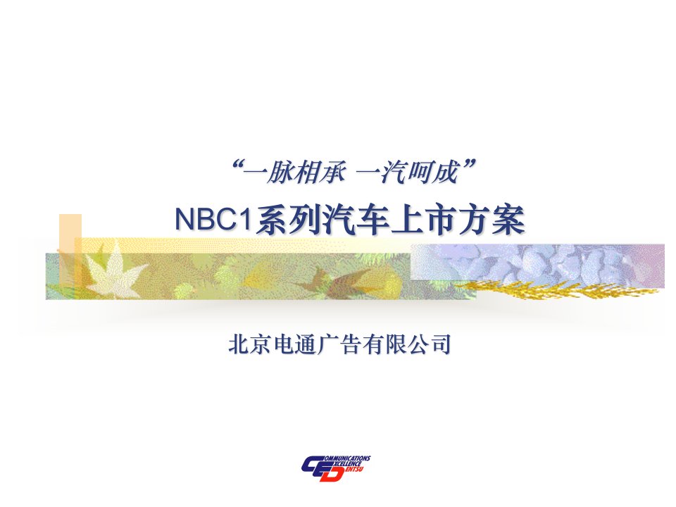 市场推广企划】NBC1系列汽车上市方案