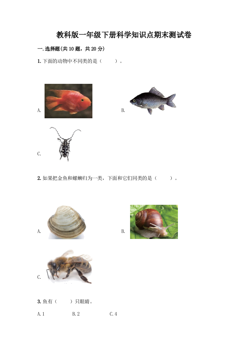 教科版一年级下册科学知识点期末测试卷及参考答案(能力提升)