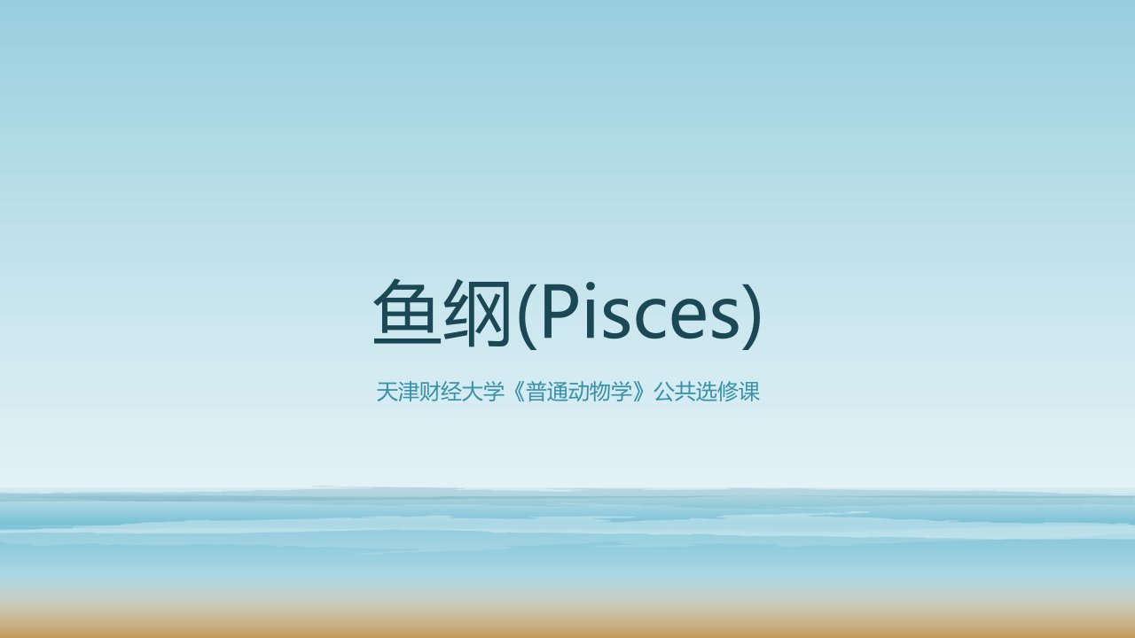 鱼纲(Pisces)