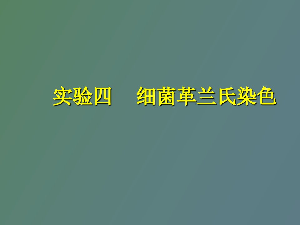 实验四细菌革兰氏染色