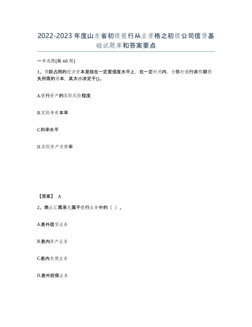 2022-2023年度山东省初级银行从业资格之初级公司信贷基础试题库和答案要点