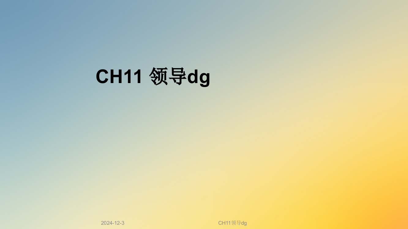 CH11领导dg