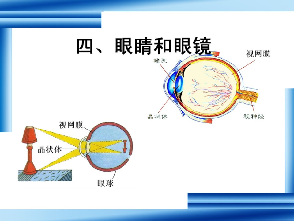 八年级物理上册眼睛与眼镜讲义资料