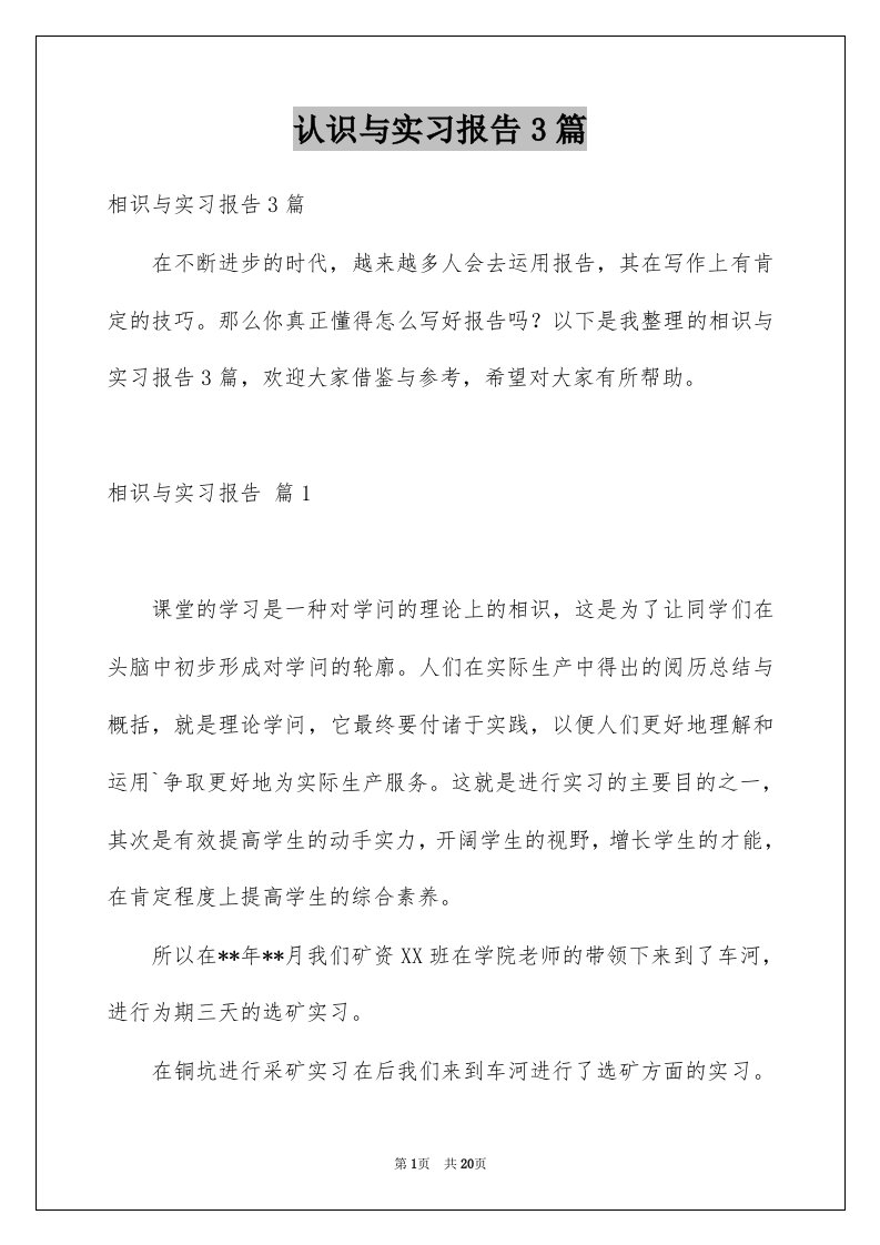 认识与实习报告3篇例文6