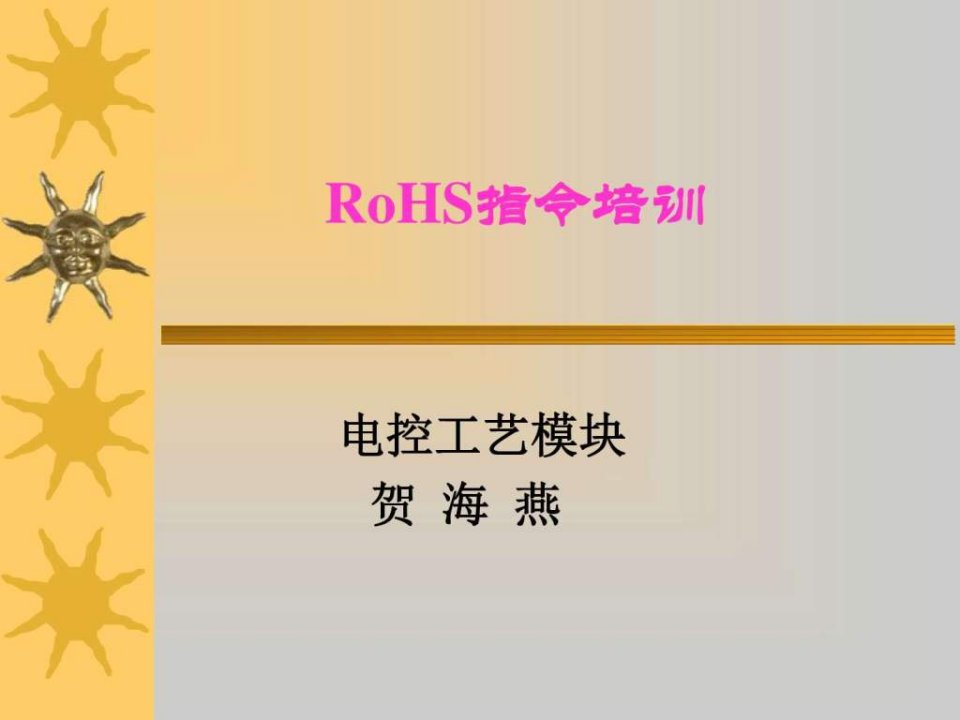 RoHS指令培训_纺织轻工业_工程科技_专业资料.ppt