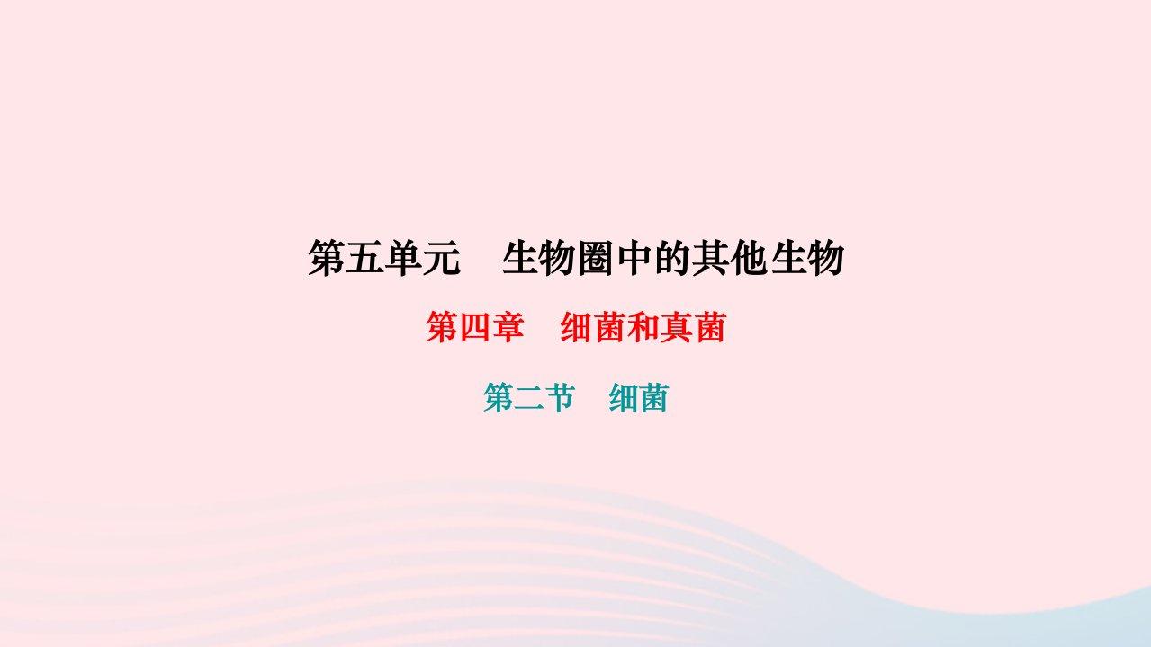 2022八年级生物上册第五单元生物圈中的其他生物第四章细菌和真菌第二节细菌作业课件新版新人教版