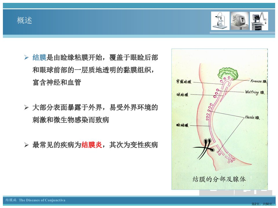 眼科学结膜病教学课件