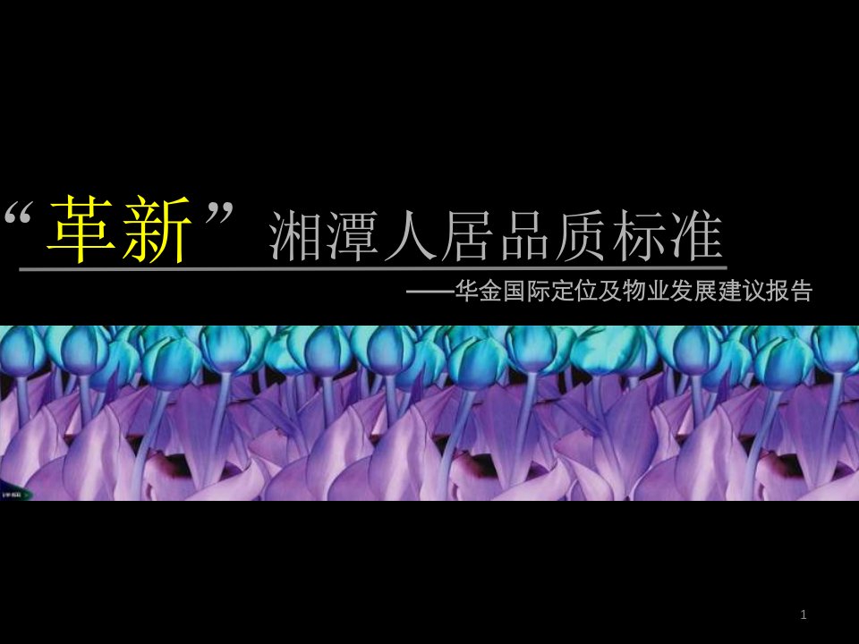 世联地产长沙湘潭华金国际商住复合型社区项目定位及物业发展建议报告