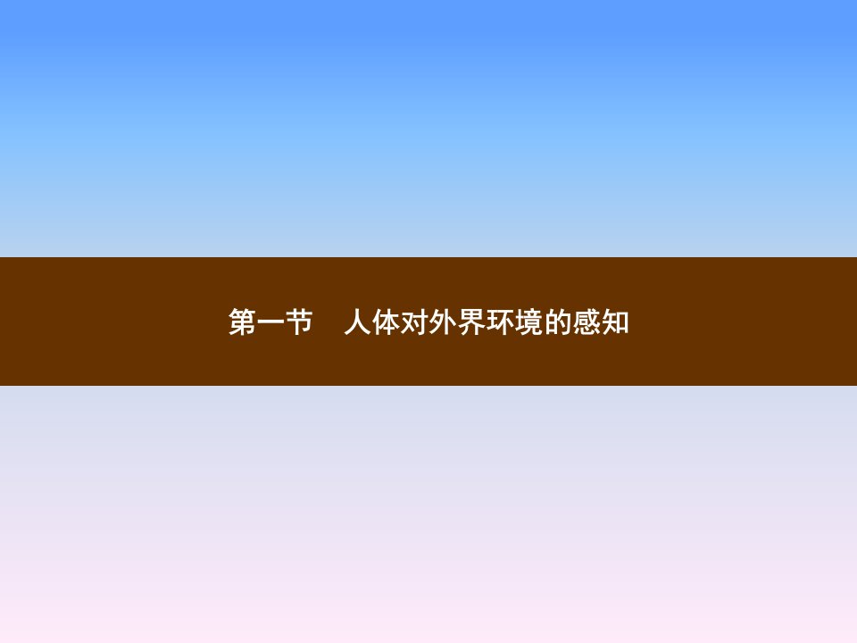 人教版七年级生物下册教学ppt课件第六章人体生命活动的调节