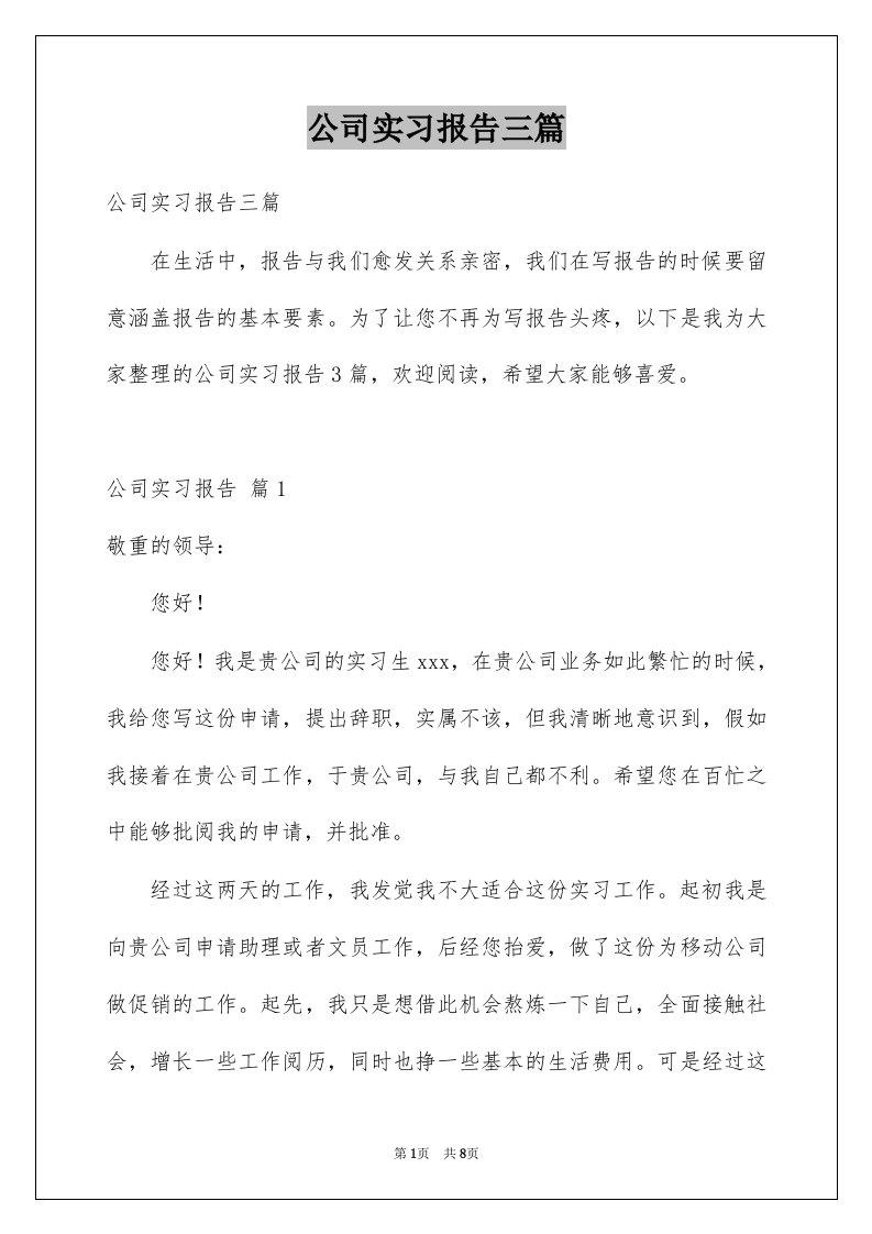 公司实习报告三篇例文7