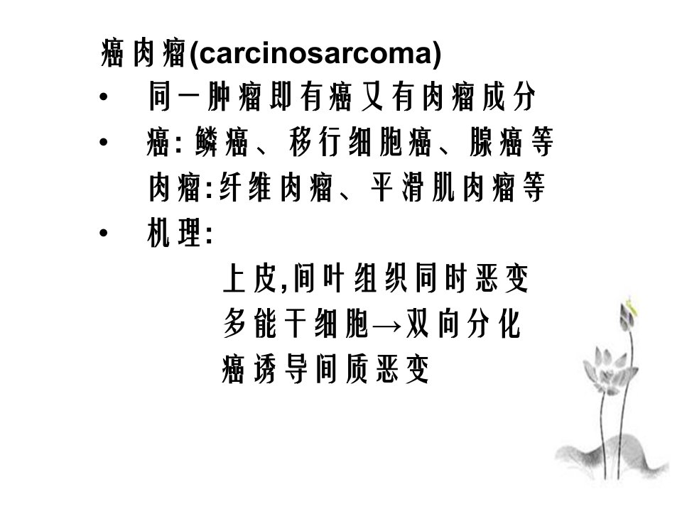 病理解剖学肿瘤三