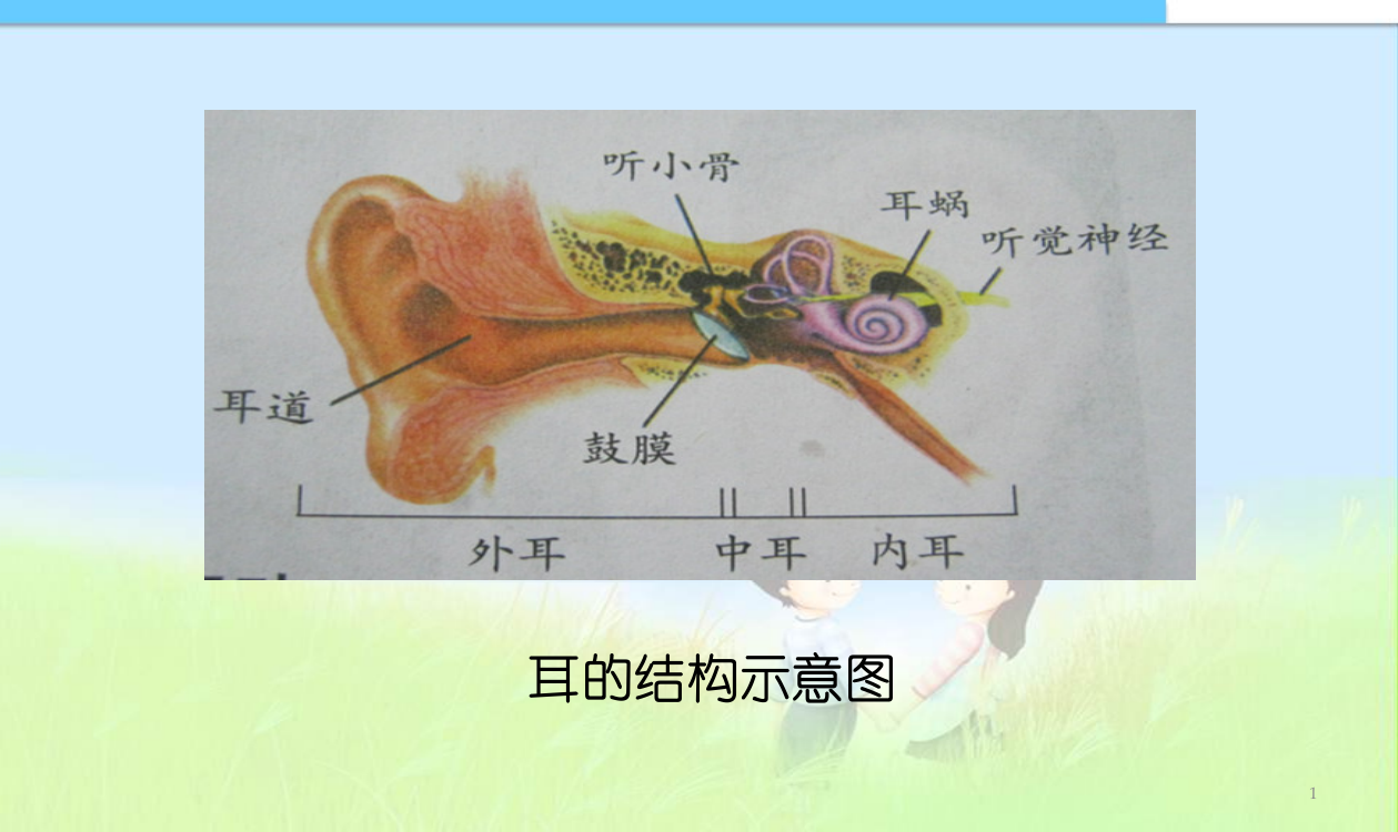 小学课件四年级科学上册保护我们的听力ppt课件