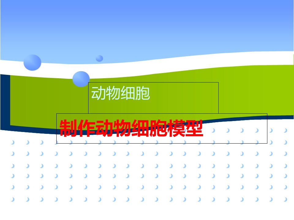 制作动物细胞模型