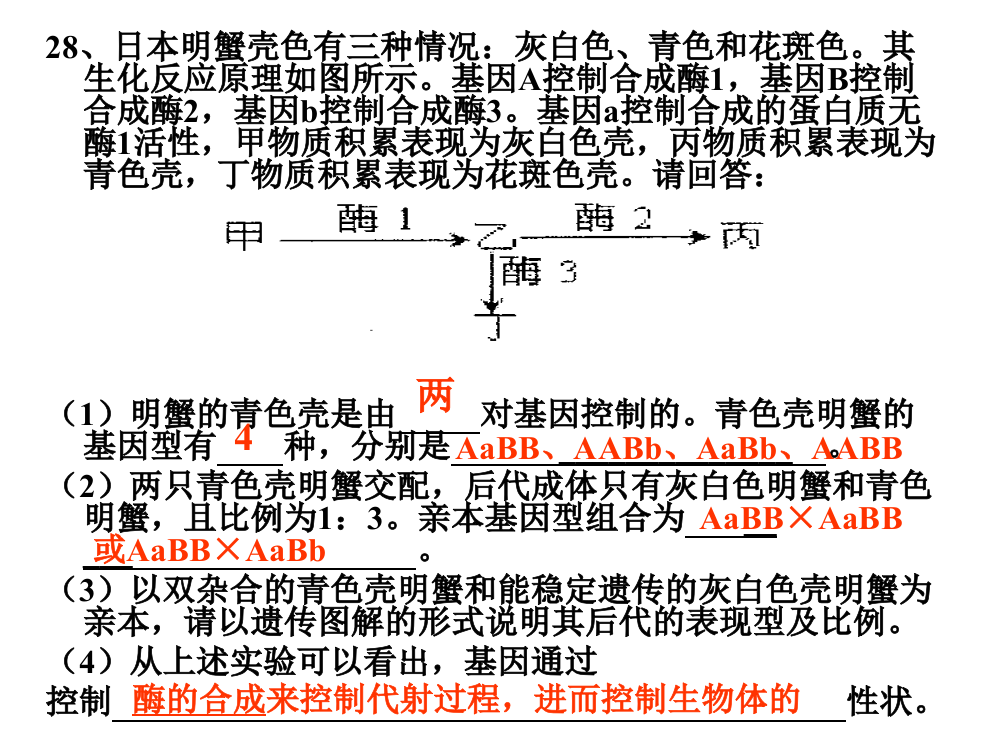 生物双选题ppt课件