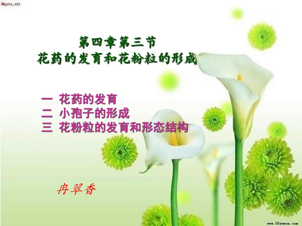 第四章第三节花药的发育和花粉粒的形成