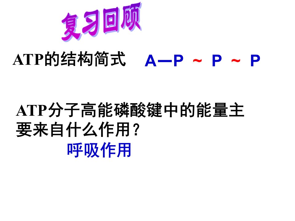 《ATP的结构简式》PPT课件