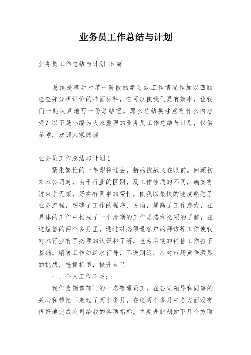 业务员工作总结与计划