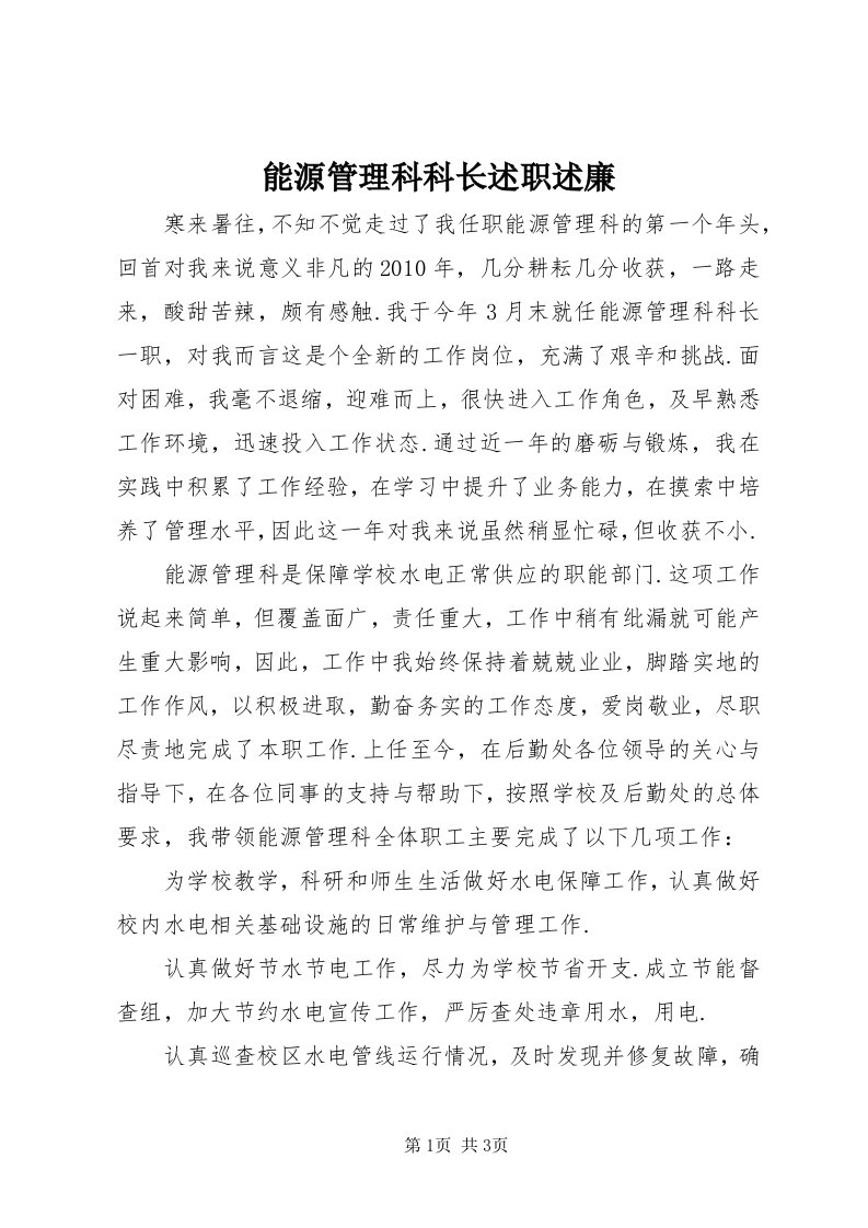 4能源管理科科长述职述廉